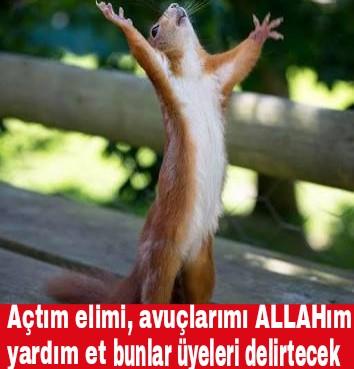 Sitedeki Sorular Üzerine Tepkilerim