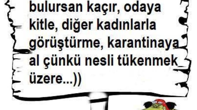 Türk Kızlarında Sevilmeyenler