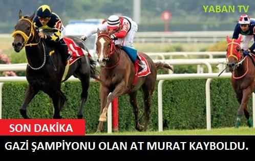 Gıda Terörü: Türk Kahvesi Sahtekarlığı