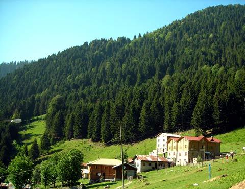 Cennetten Bir Köşe Doğu Karadeniz