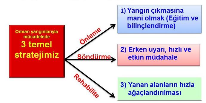 Ormanlarımızın Yok Olmasını Engelleyelim