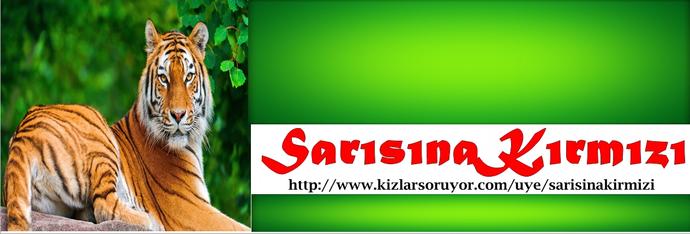 Ayrıldıktan Sonra Eski Sevgili Hakkında Söylenenler