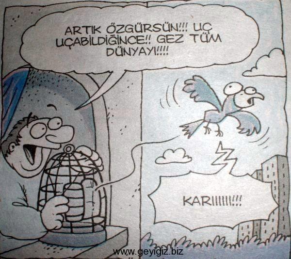 Çivisi Çıkan Nasılımcılar