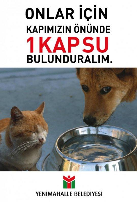 Sokaktaki Dostlarımızı Unutmayalım!