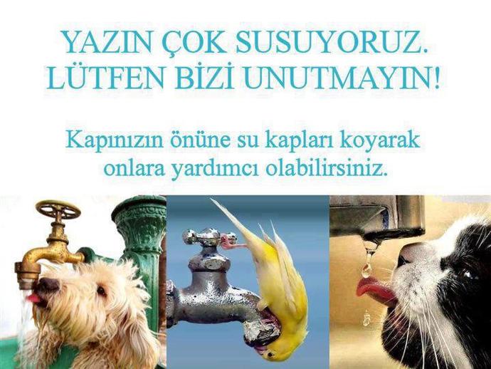 Dostlarımız İçin 1 Kap Su 1 Kap Yemek