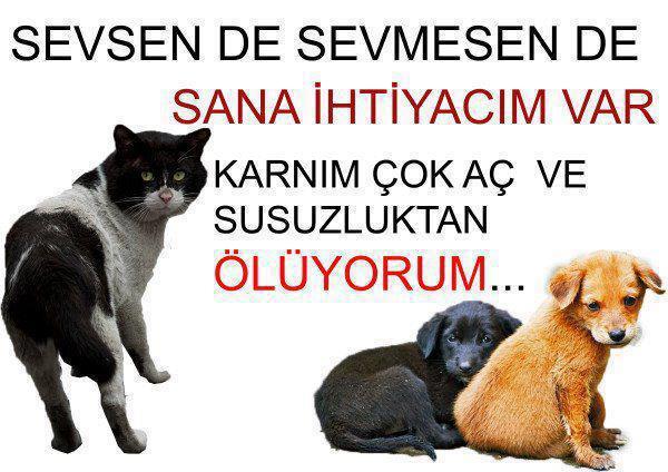 DOSTLARIMIZ İÇİN 1 KAP SU 1 KAP YEMEK