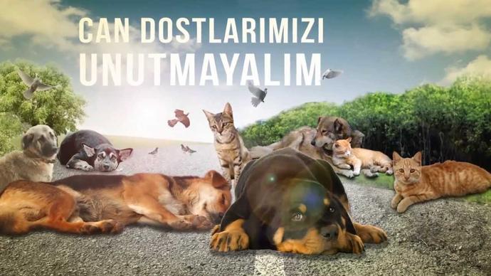 Dostlarımız İçin 1 Kap Su 1 Kap Yemek