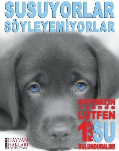 Dostlarımız İçin 1 Kap Su 1 Kap Yemek