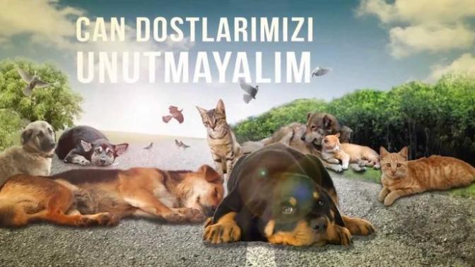 Dostlarımız İçin 1 Kap Su 1 Kap Yemek