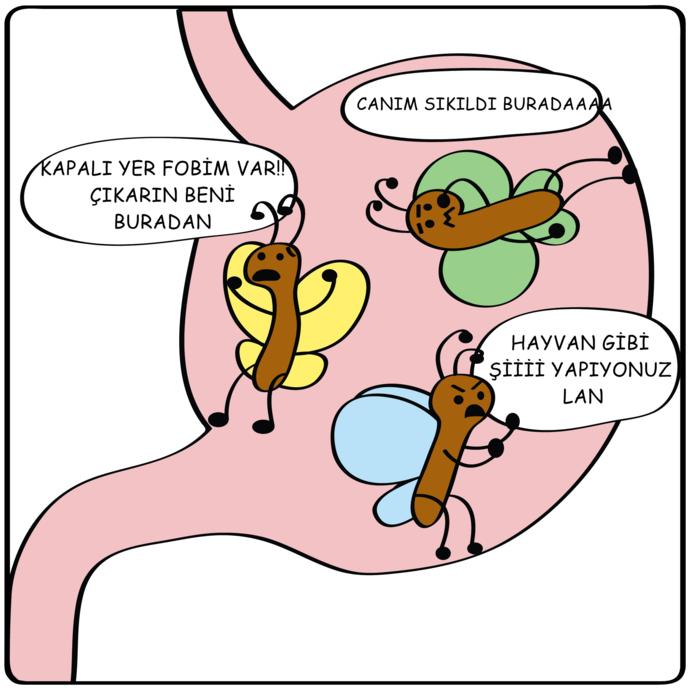 Hazırlanın Aşık Oluyoruz 2