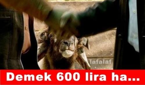 Kurban Bayramı Caps'leri