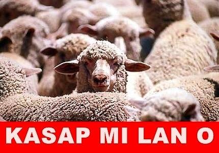 Kurban Bayramı Caps'leri