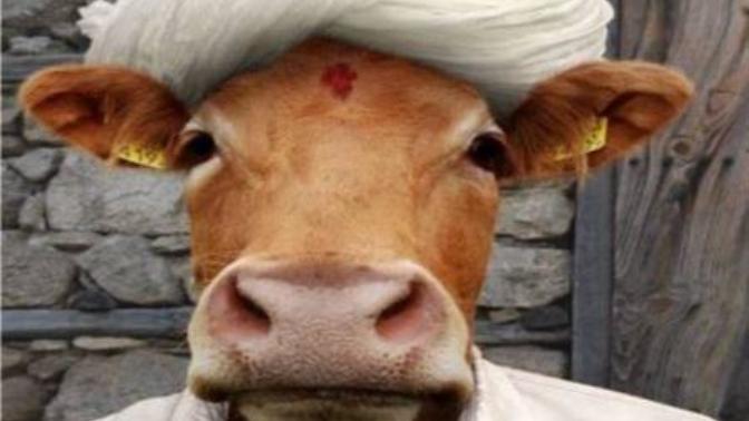 Kurban Bayramı Caps'leri