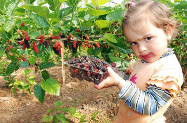 Şehirde Büyüyenlerin Asla Bilemeyeceği Bazı Durumlar