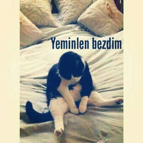 Kadınlarda Nefret Edilesi Özellikler