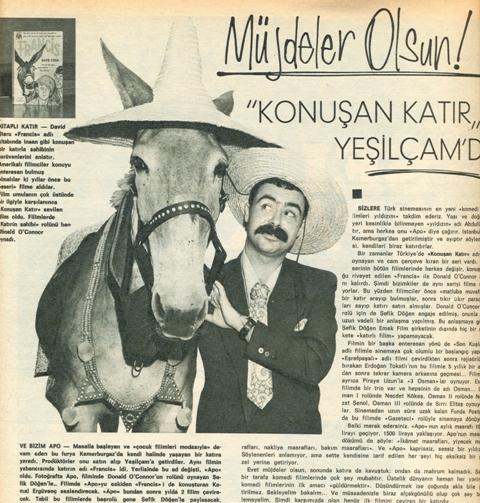 Anadolu'nun Gözde Hayvanı Katırlar