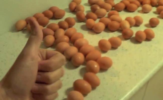 İğrençlikler Fenomeni: HowToBasic Youtube Channel