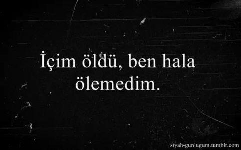 Bir Adam, Bir Kadın, Bir Silah ve Hayatımın Son Günü 