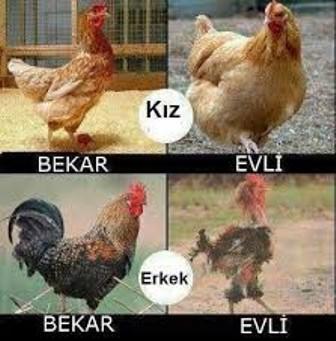 Evliliğin Kadın Üstündeki Etkisi