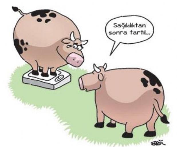 Erkekleri Kadınlardan Soğutan Sorular