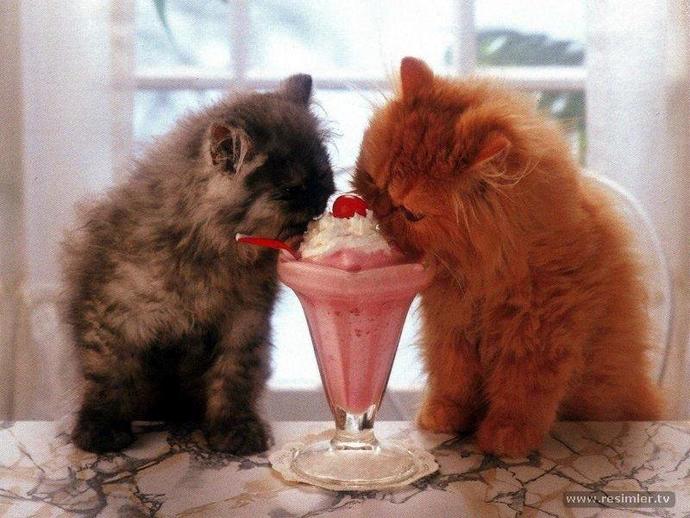 Evde Milkshake Keyfi Yapın!
