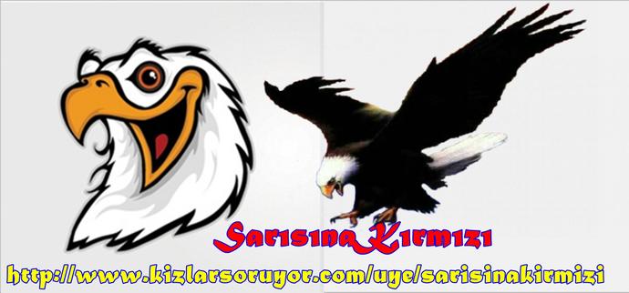 Dünya Üzerindeki Siber Saldırılar