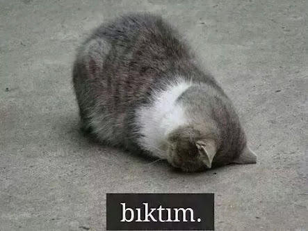Yalnız Olmanın 10 Olumlu Yanı