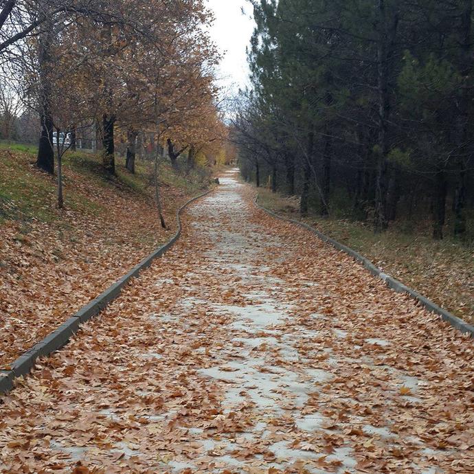 ODTÜ'lü Olmak ve Kazandırdıkları