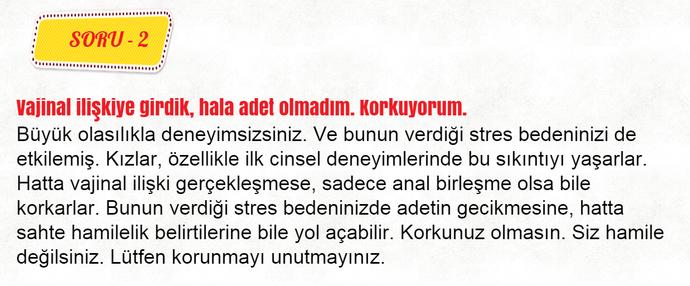 Biber Dümen ile Hamilelik Üzerine