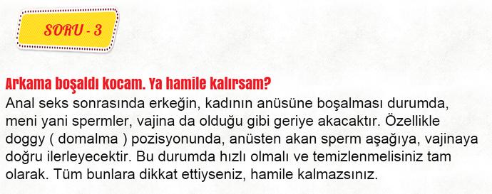 Biber Dümen ile Hamilelik Üzerine