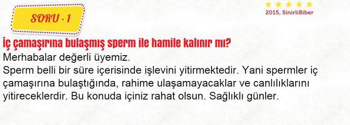 Biber Dümen ile Hamilelik Üzerine