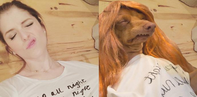 Instagram Fenomeni Köpeğin, En Güzel Kadınlara Taş Çıkartan Pozları