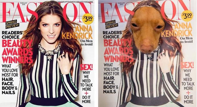 Instagram Fenomeni Köpeğin, En Güzel Kadınlara Taş Çıkartan Pozları