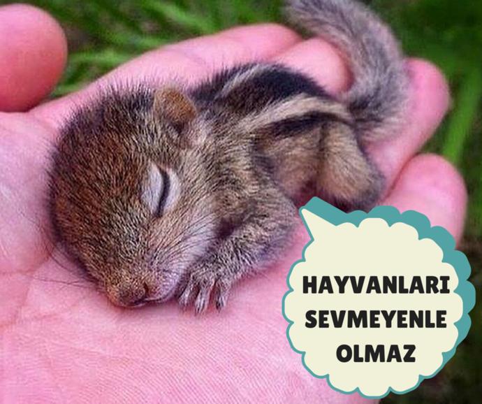 Duyarlı ve İdealist Kadınların İstediği 7 Şey
