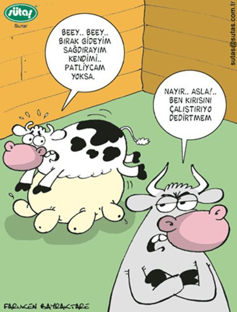 Kadınlar Çalışmalı ( MI ? ).....