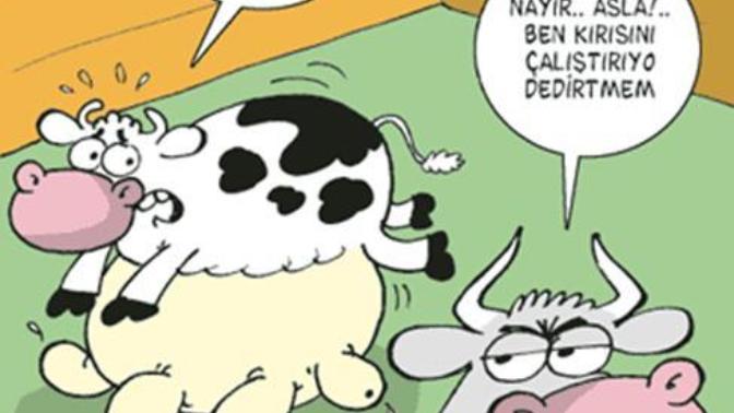 Kadınlar Çalışmalı mı?