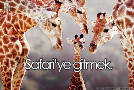 Ölmeden Önce Sevdiğimizle Mutlaka Yapılması Gerekenler