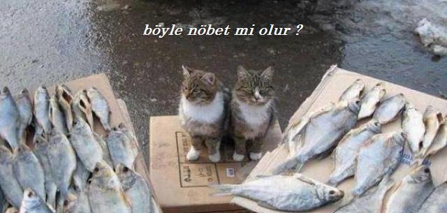 Doğru Bildiğimiz Yanlışlar