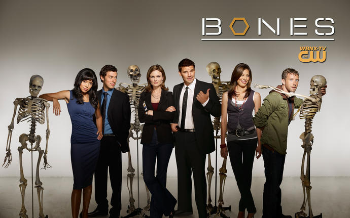 Bol Kemikli Bir Dizi: Bones