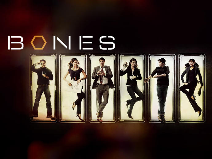 Bol Kemikli Bir Dizi: Bones