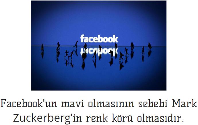 Facebook Hakkında Bilmedikleriniz