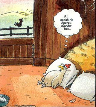 Mutlu Olmak İçin Gerekli Olan Şeyler
