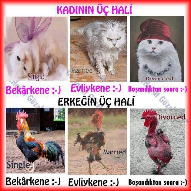 Bir Erkek Neden Yalnız Kalır?