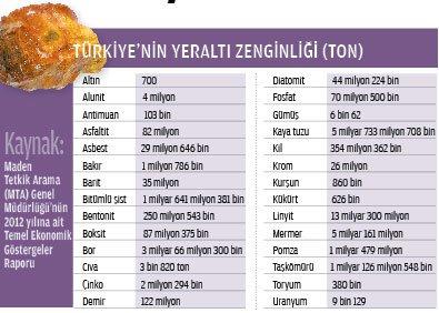 Türkiye'ye Sahip Çıkar mısın?