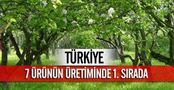 Türkiye'ye Sahip Çıkar mısın?