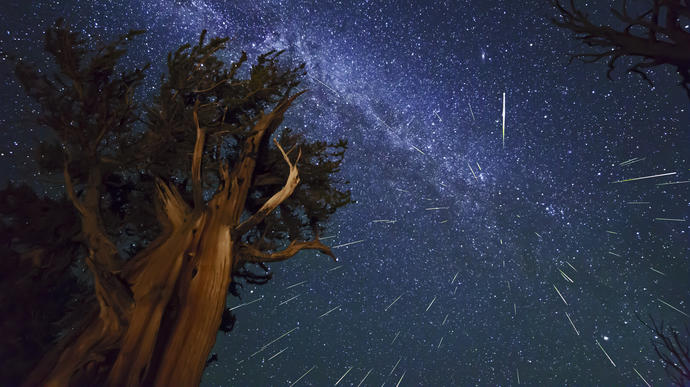 Perseid Meteor Yağmurları
