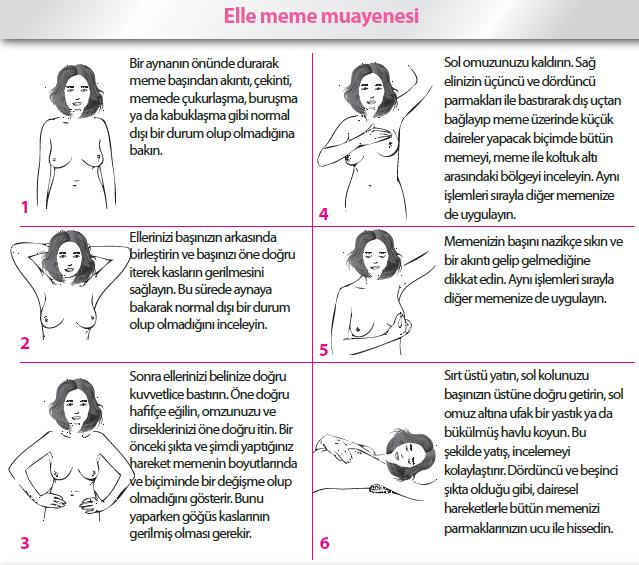 Meme Kanserinden Havuçla Korunun!