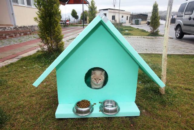 Dostlarını Unutma! Bir Kap Su - Bir Kap Mama