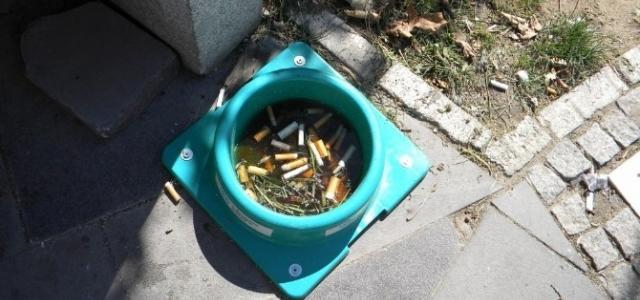 Dostlarını Unutma! Bir Kap Su - Bir Kap Mama