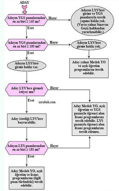 Tüm Yönleriyle YGS ve LYS 